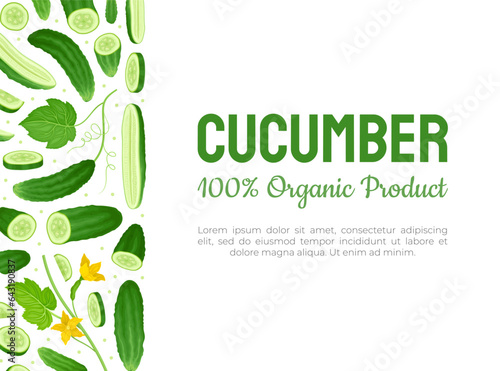 Fresh Green Cucumber Vegetable Banner Design Vector Template