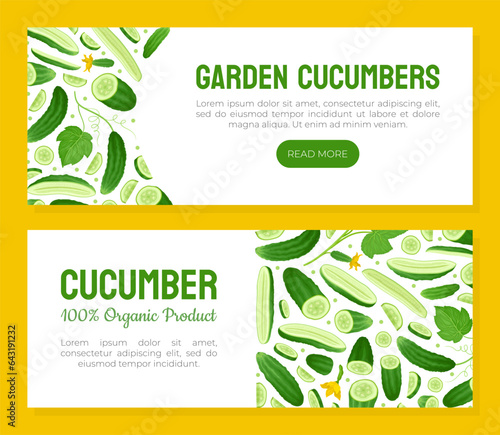 Fresh Green Cucumber Vegetable Banner Design Vector Template