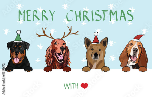 Merry Christmas postcard with dogs peeking out from the wall. Dog head with paws. Creative Happy Dog Christmas Card for puppy lovers. Mixed-Breed dog in Santa hat. Winter, Holiday character. Setter.