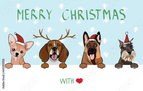 Merry Christmas postcard with dogs peeking out from the wall. Dog head with paws. Creative Happy Dog Christmas Card for puppy lovers. Mixed-Breed dog in Santa hat. Holiday characters, snow background.