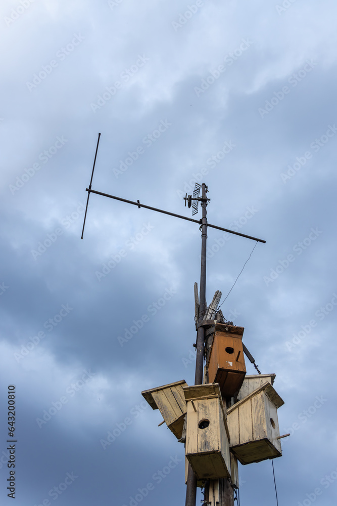 Design with a television antenna and many birdhouses against the background of an evening cloudy sky and flying midges
