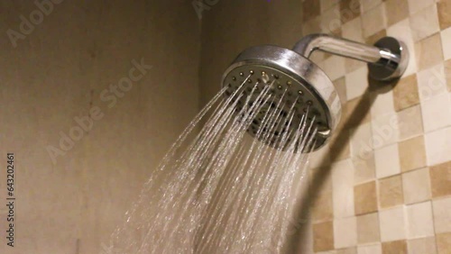 shower in the bathroom