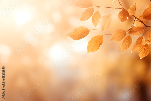 Beautiful blutrred gentle universal natural light autumn background with yellow leaves in park and blurred bokeh photo