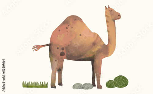 Camel, Animal wildlife watercolor vector illustration.