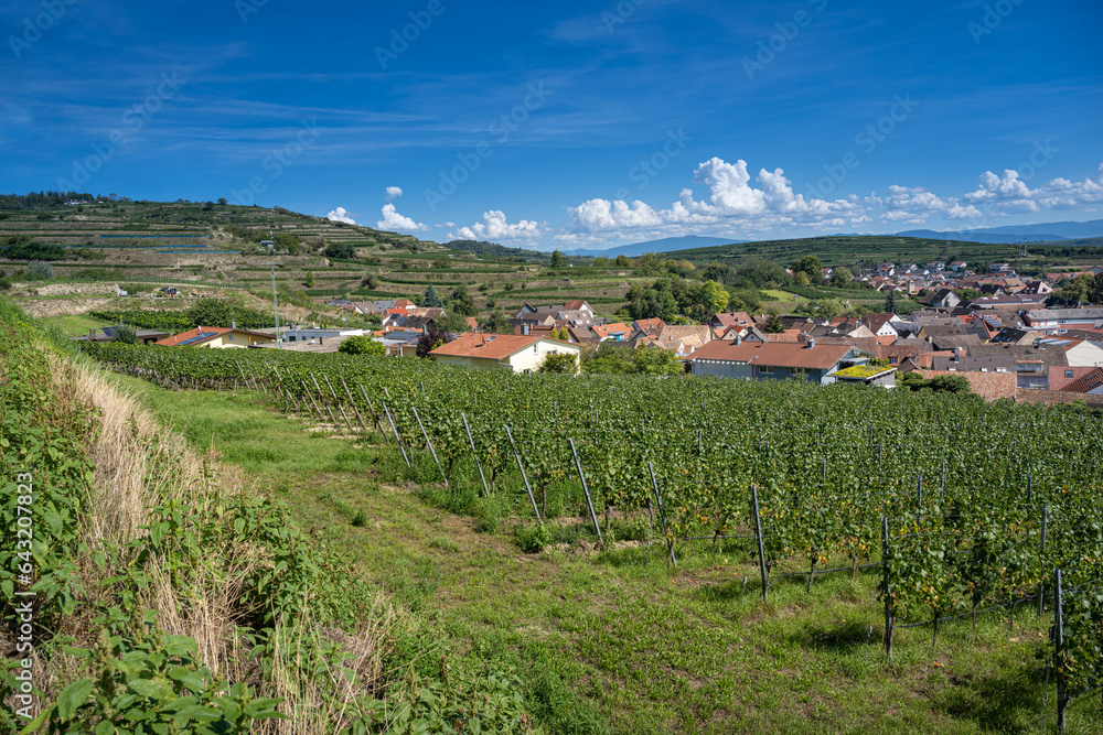 View on wine town Ihringen, Kaiserstuhl (Vogtsburg). Rhine plain, Baden Wuerttemberg, Germany, Europe