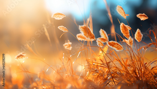 Art autumn sunny nature background © MOUNSSIF