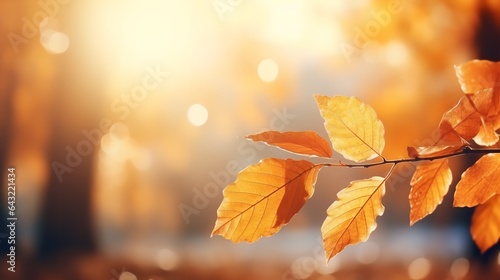 Beautiful bokeh with orange and gold autumn foliage. Generative Ai.