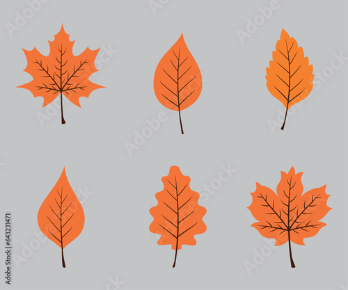 Autumn leaves. Collection. Vector graphics on gray background