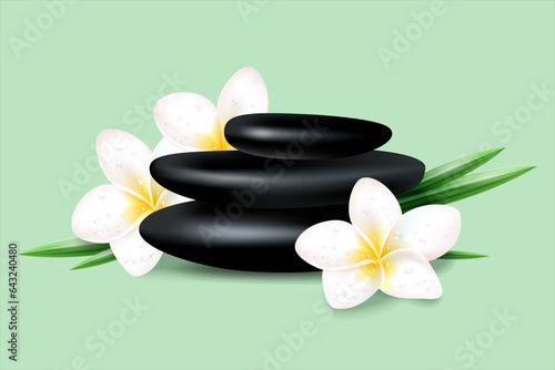 Vector illustration of tropical spa and resort. Some basalt hot stones for massage and exotic plumeria flowers.