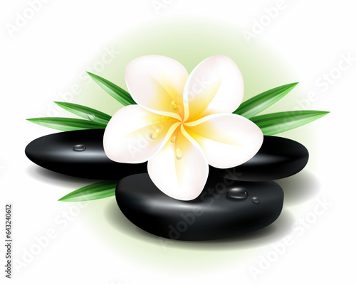 Vector illustration of tropical spa and resort. Some black hot stones for massage and exotic plumeria flower with  green leaves.