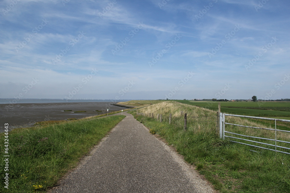 Fototapeta premium a road on top of the seawall at the dutch coast in zeeland with a view at the westerschelde sea and the beach and mudflats and a blue sky 