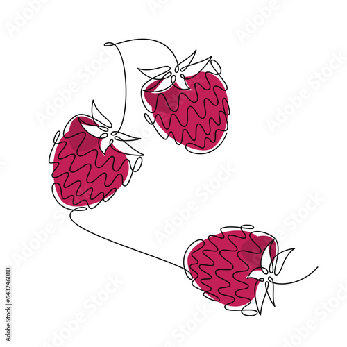 Vector strawberry, raspberry, mulberry, blackberry line continuous drawing illustration. Hand drawn linear silhouette. Berries icon. Minimal design, print, banner, card, poster, brochure, logo, sign.