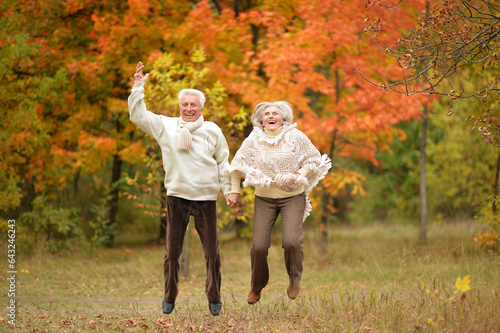 Beautiful elderly couple walking in the autumn park © aletia2011