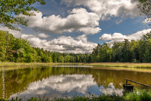 Pansky pond with white clouds in end of summer near Vysne village photo