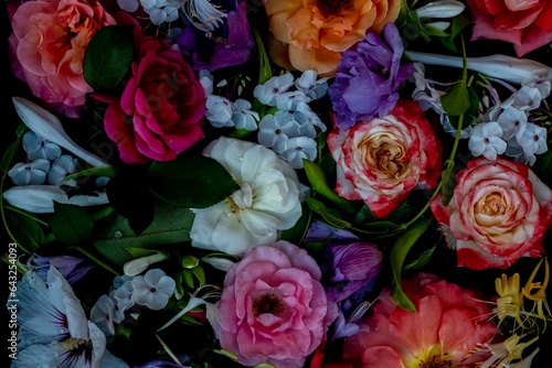 Multicolored flowers on a black water background  top view. floral backdrop