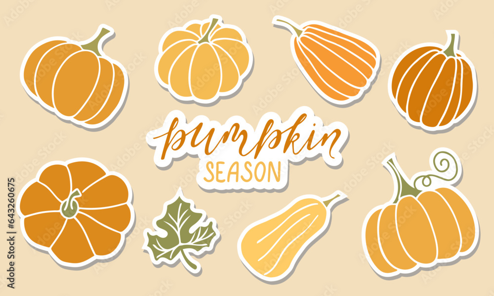 Set of pumpkin stickers. Pumpkin season handwritten lettering text. Autumn harvest sticker collection for design
