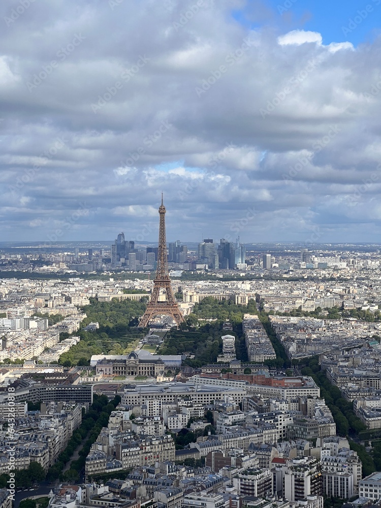 Aerial view of the city of Paris