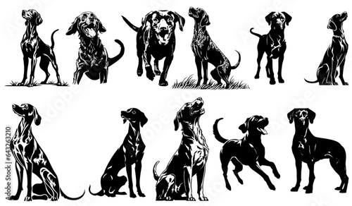 happy vizsla dog vector set photo