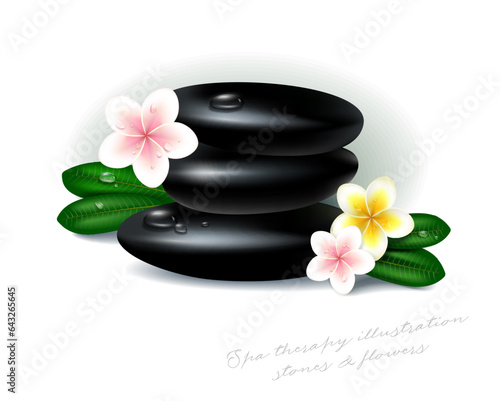 Vector illustration of tropical spa and resort. Some basalt hot stones for massage and exotic plumeria flowers.