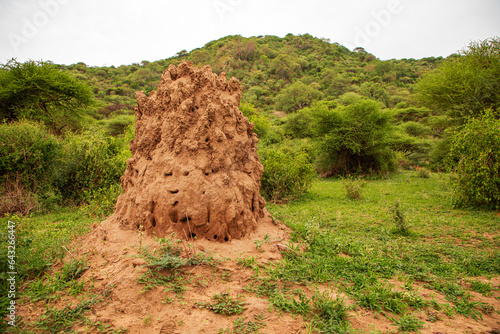 Termite Mound Maniara National Park Africa photo