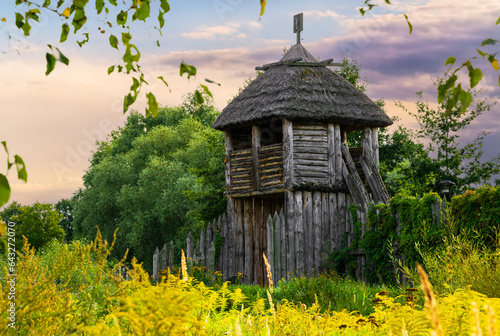 Fototapeta Naklejka Na Ścianę i Meble -  Wooden gate and fort. Summer countryside