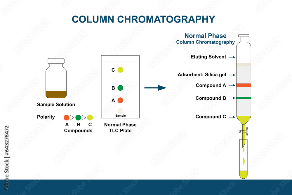 Illustration of normal phase thin layer chromatography plate and normal