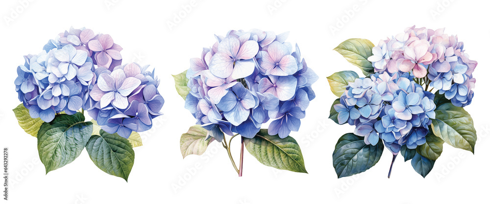 Watercolor set of a hydrangea flowers isolated on white background. Generative AI. Watercolor set of a hydrangea flowers isolated on white background. Generative AI.