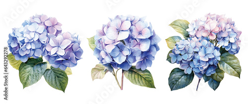 Watercolor set of a hydrangea flowers isolated on white background. Generative AI. © OlyGutArt