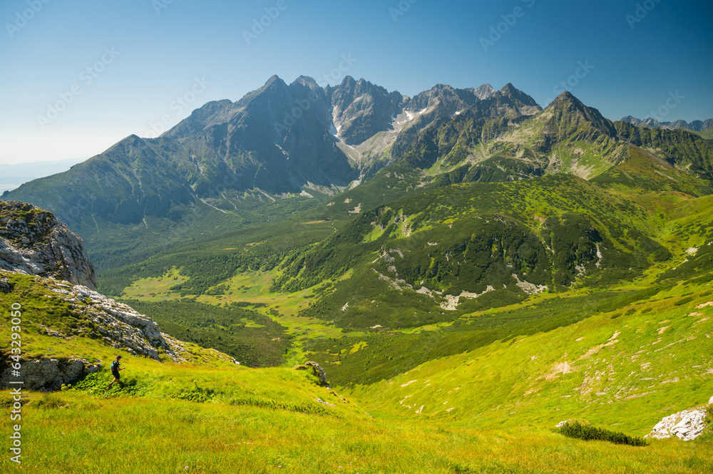 Alpine panorama capturing the High Tatras as seen from the Belianske Tatras, with the landscape adorned in rich green hues and a cloudless sky