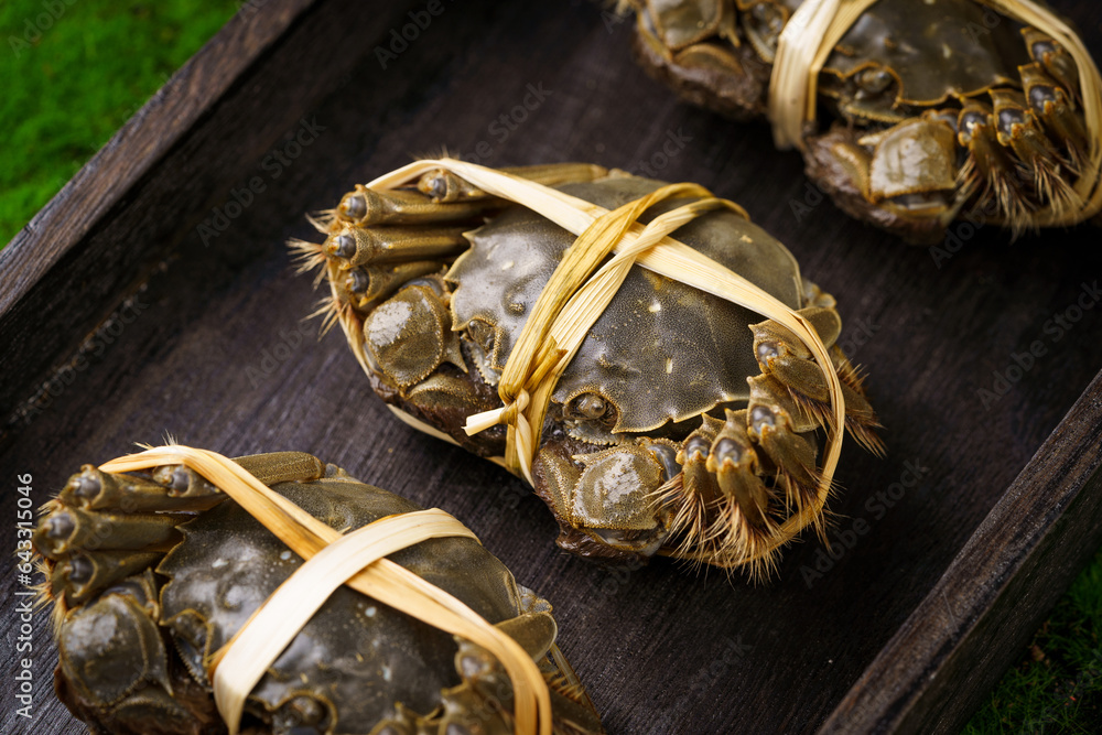 Fresh live crab against a monochromatic background Fresh live crab against a monochromatic background