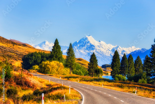 NZ Mt Cook Hills highway trees
