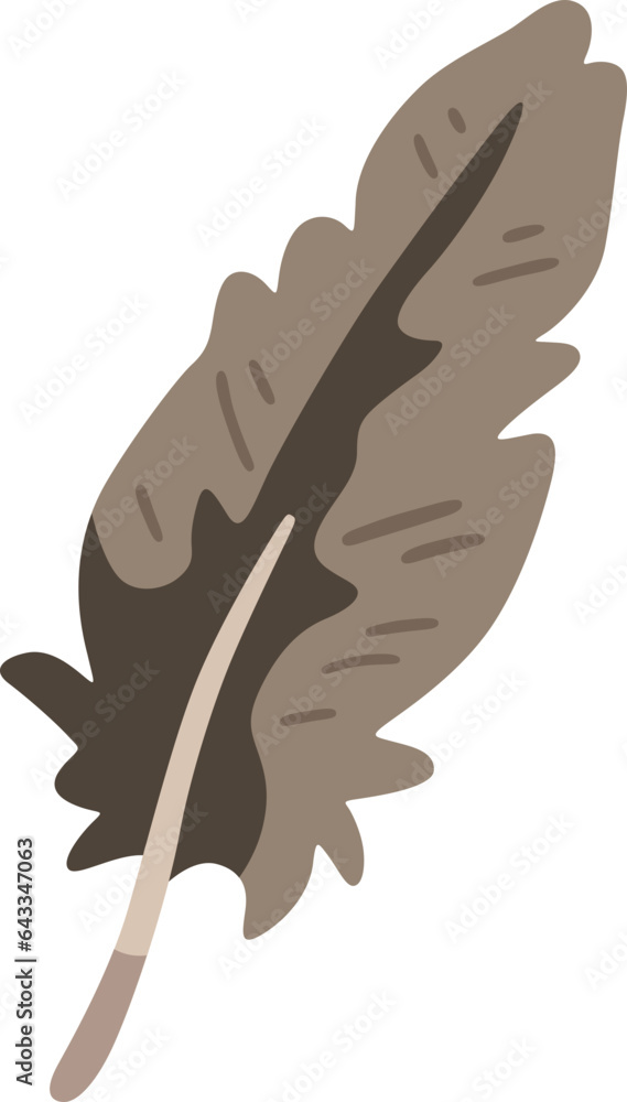 Fototapeta premium Brown pelican feather illustration