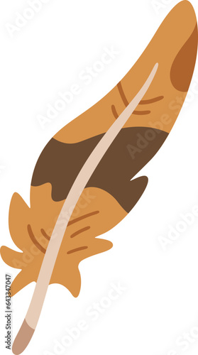 Baltimore oriole feather illustration