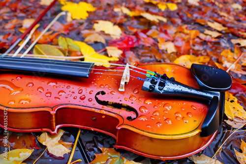Violin And Autumn