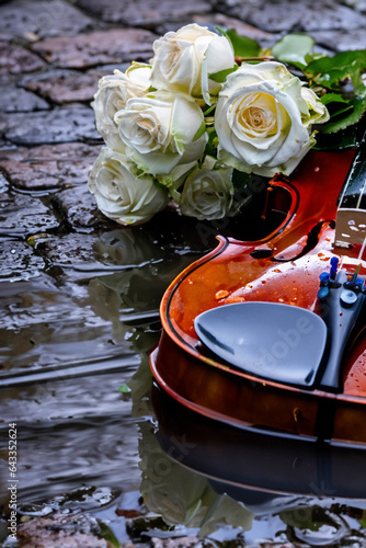 Roses And Violin photo