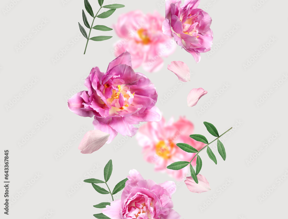 Beautiful colorful flowers and green leaves falling on pastel grey background