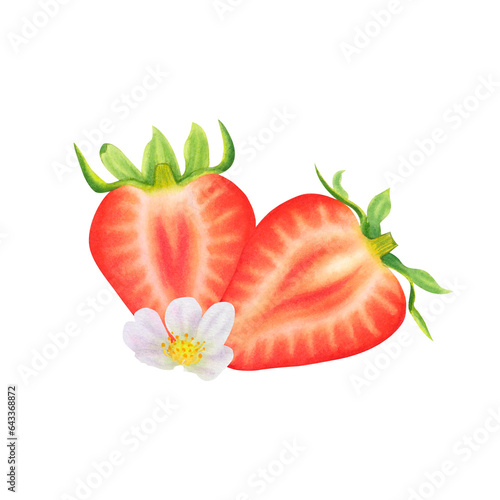 Composition of halves of strawberries on transparent background. Watercolor hand drawn illustration. For advertising, packaging, menus, invitations, business cards, postcards, printing.