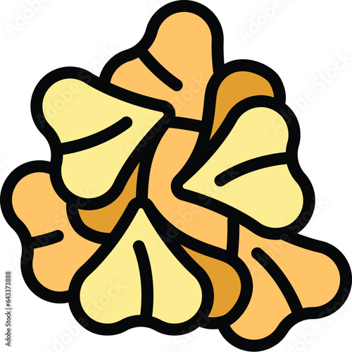 Buckwheat seed icon outline vector. Cereal plant. Nature organic color flat