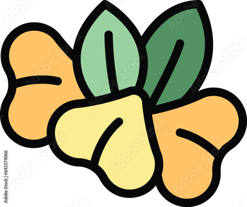 Botanical buckwheat icon outline vector. Cereal plant. Leaf natural color flat