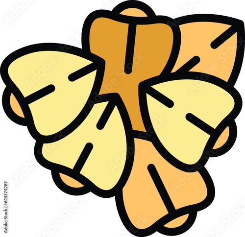 Buckwheat icon outline vector. Flower plant. Botanical seed color flat