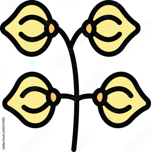 Flower seed icon outline vector. Buckwheat plant. Agriculture cereal color flat