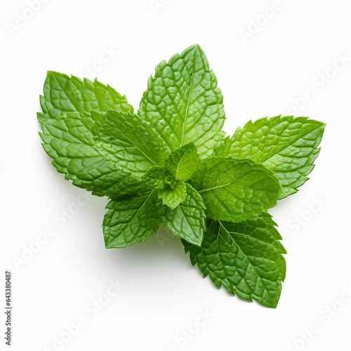 Mint leaves on white background.