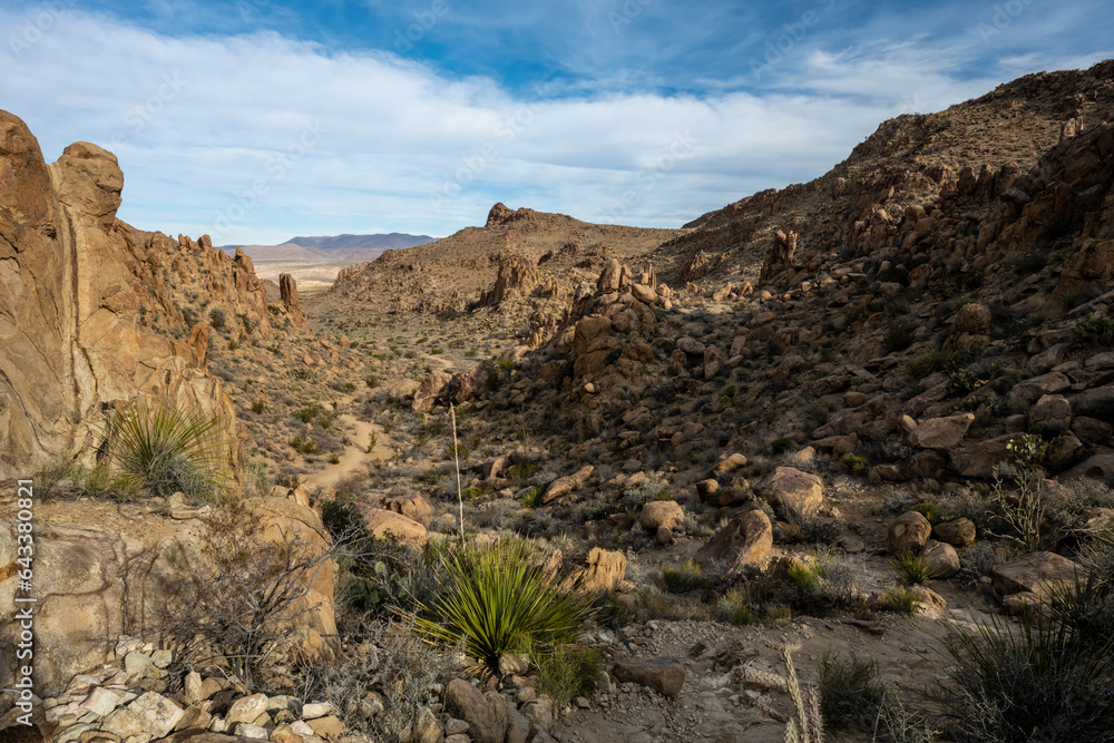 Grapevine Hills Trail Winds Through Canyon Grapevine Hills Trail Winds Through Canyon