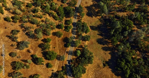 Flying above the dry landscape covered with rare trees. Drone footage above the highway and car going along. photo