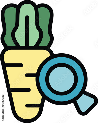 Carrot inspection icon outline vector. Food safety. Quality critic color flat
