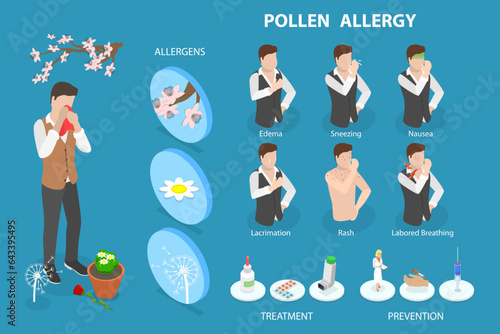 3D Isometric Flat Vector Conceptual Illustration of Pollen Allergy, Causes and Symptoms