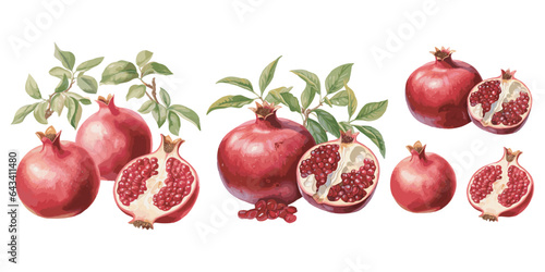 watercolor pomegranate clipart for graphic resources