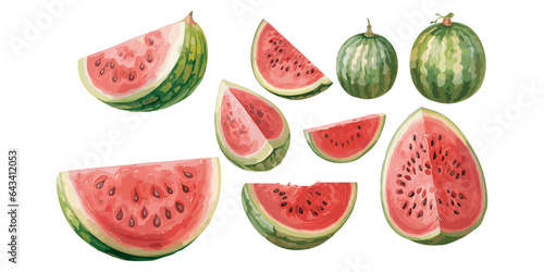 watercolor watermelon clipart for graphic resources