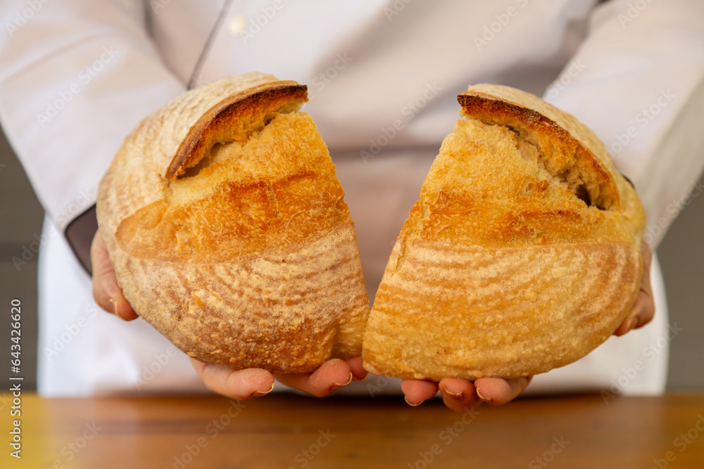 Close em pão italiano Ciabatta partido ao meio sendo mostrado por mãos de chef de cozinha feito em fermentação natural. 