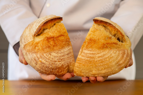Close em pão italiano Ciabatta partido ao meio sendo mostrado por mãos de chef de cozinha feito em fermentação natural.  photo
